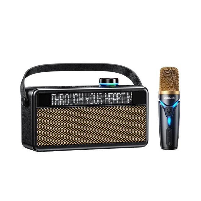 Enceinte Bluetooth Avec Paroles En Temps Réel 2x6W Lecture TF USB Autonomie 3H - www.yonis-shop.com
