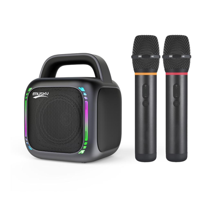 Enceinte Bluetooth Portable Karaoké 50W Avec 2 Micros RGB Étanche IPX5 Batterie 8000mAh - www.yonis-shop.com