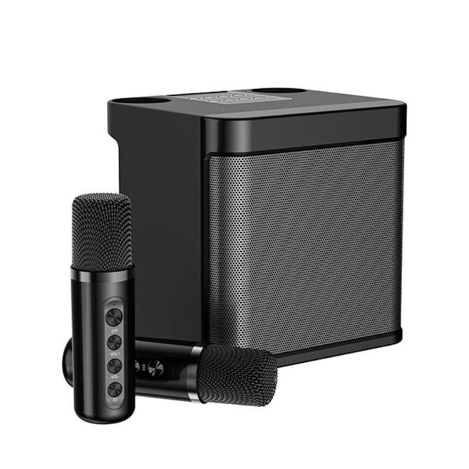 Enceinte Karaoké Bluetooth Avec Microphone Sans Fil 10 W DSP Autonomie 5 Heures - www.yonis-shop.com