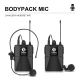 Système De Microphones Sans Fil UHF 4 Canaux Portée 100 Mètres Pour Karaoké Et Conférences - www.yonis-shop.com