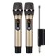 Système Micro Sans Fil UHF Pour Scène Et KTV Deux Micros Rechargeables Portée 50 Mètres - www.yonis-shop.com