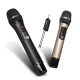 Système Micro Sans Fil UHF Pour Scène Et KTV Deux Micros Rechargeables Portée 50 Mètres - www.yonis-shop.com