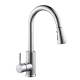 Douchette De Robinet De Cuisine Avec Bouton Pause Économie D’Eau Raccord G 1/2 En ABS Plaqué - www.yonis-shop.com