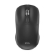 Souris Sans Fil Ergonomique 2.4 GHz Bluetooth 5.0 Rechargeable DPI Réglable 800 1200 1600 Type-C Compacte et Légère - www.yon...
