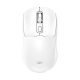 Souris Sans Fil Ergonomique 2.4 GHz Bluetooth 5.0 Rechargeable DPI Réglable 800 1200 1600 Type-C Compacte et Légère - www.yon...