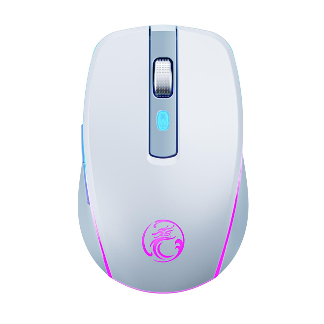 Souris Gaming Sans Fil 2.4 GHz Silencieuse 6 Boutons Rechargeable Type C Avec Éclairage RGB 1600 DPI - www.yonis-shop.com