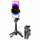 Perche À Selfie Extensible Avec Trépied À Quatre Pieds Tête Rotative Télécommande Bluetooth 5.2 11.7 À 41.5 Cm