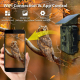 Caméra De Chasse 8K HD Vision Nocturne Infrarouge Avec Batterie Solaire Et Carte SD Jusqu'à 128GB - www.yonis-shop.com