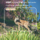 Caméra De Surveillance Extérieure 4G Avec Contrôle À Distance Par Application Vidéo 4K Et Photos 120 MP - www.yonis-shop.com