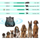 Dispositif Anti Aboiement Pour Chien À Ultrasons Avec Détection Automatique Portée 5 À 10 Mètres Et Étanchéité IPX4 - www.yon...