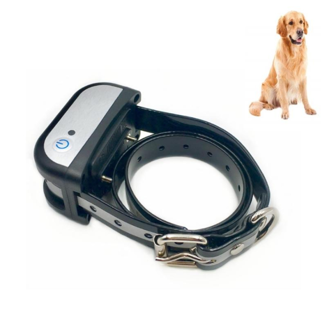 Récepteur De Collier De Dressage Électronique Pour Chien Pour Clôture Sans Fil Étanche Son Vibration Statique 400 mAh Sans Ém...