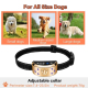 Collier Anti Aboiement Pour Chien À 6 Modes Réglage 0 À 7 Autonomie 10 À 15 Jours Protection IP65 - www.yonis-shop.com