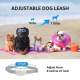 Collier De Dressage Électrique Pour Chien Avec Télécommande Étanche IP68 Portée 300 Mètres Pour 3 Chiens - www.yonis-shop.com