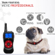 Collier De Dressage Pour Deux Chiens Étanche IPX7 Avec Télécommande Portée 500 À 800 Mètres Son Vibration Choc Et Lumière - w...