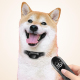 Collier De Dressage Antiaboiement Pour Chien Avec Télécommande 300 M Étanche IP68 À Recharge Magnétique 3 Modes - www.yonis-s...