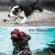 Collier Anti-Aboiement Pour Chien Avec Télécommande 800 M 3 Modes Vibration Bip Et Décharge Réglable - www.yonis-shop.com