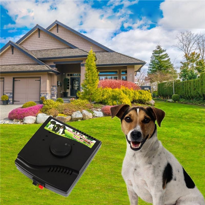 Système Anti Fugue Électrique Pour Chien Et Chat Avec Collier Récepteur Fil 300 M Et Stimulation Progressive - www.yonis-shop...