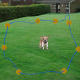 Système Anti Fugue Électrique Pour Chien Et Chat Avec Collier Récepteur Fil 300 M Et Stimulation Progressive - www.yonis-shop...