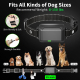 Collier De Dressage Électrique Pour Chien À Télécommande 3 Modes IP67 Portée 1600 Ft 3 Récepteurs - www.yonis-shop.com