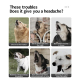 Dispositif Anti-Aboiement Ultrasonique Pour Chien Avec Reconnaissance Intelligente Autonomie 300 Minutes USB-C Compact Noir -...