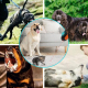 Dresseur Ultrasonique Pour Chien Anti Aboiement À Fréquence Réglable Rechargeable USB Avec Laser Infrarouge Orange - www.yoni...
