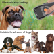Répulsif Ultrasonique Anti Aboiement Pour Chiens À Double Tête 3 Modes Lampe SOS Batterie 2000 mAh - www.yonis-shop.com