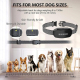 Collier Anti Aboiement Pour Chien À Sensibilité Réglable 5 Niveaux 3 Modes Son Vibration Stimulation Légère IP67 Autonomie 10...