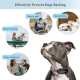 Collier Anti Aboiement Pour Chien À Sensibilité Réglable 5 Niveaux 3 Modes Son Vibration Stimulation Légère IP67 Autonomie 10...