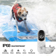 Collier De Dressage Pour Chien Avec Télécommande Étanche IP68 Portée 300 Mètres Son Vibration Et Stimulation Électrique - www...