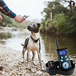 Collier Anti Aboiement Pour Petits Moyens Et Grands Chiens Avec Vibration Son D&eacute;charge &Eacute;lectrique Et T&eacute;l&eacute;commande 500 M