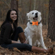 Collier Anti Aboiement Pour Chien À Détection Vocale Coque Papillon Ultra Légère Sangle Réglable Batterie 6 V Incluse - www.y...