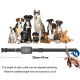 Collier De Dressage Électrique Pour Chien Antiaboiement Rechargeable Avec Récepteur IP67 Et Télécommande 300 À 500 Mètres - w...