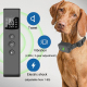 Collier De Dressage Électrique Pour Chien Antiaboiement Rechargeable Avec Récepteur IP67 Et Télécommande 300 À 500 Mètres - w...