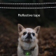 Collier De Dressage Électrique Pour Chien Antiaboiement Rechargeable Avec Récepteur IP67 Et Télécommande 300 À 500 Mètres - w...