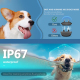 Collier Antiaboiement Pour Chien 4 Modes 8 Niveaux Réglables Recharge USB Type-C Étanche IP67 Avec Protection Anti-Déclenchem...