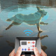 Collier De Dressage Pour Chien Clôture Sans Fil 3 Chiens Portée 302 M IPX6 Son Vibration Et Stimulation Électrique - www.yoni...