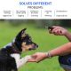 Collier De Dressage Anti-Aboiement Pour Chien Rechargeable Télécommande 300 M Récepteur Étanche Son Vibration Choc Électrique...