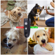 Répulsif Ultrasonique Pour Chien Avec Flash LED Portée De 10 Mètres Recharge USB Et Lanière Portable - www.yonis-shop.com