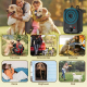 Dispositif Ultrasonique Anti Aboiement Pour Chien À 3 Modes Portée 15 Mètres Batterie Rechargeable 2000 mAh IP6 - www.yonis-s...
