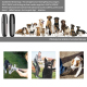 Dresseur Ultrasonique Pour Chien Avec Deux Modes Entraînement Et Éloignement Portée De 5 M Étanche IPX3 Portable - www.yonis-...