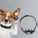 Collier Anti Aboiement Pour Chien Avec Son Vibration Et Décharge Électrique 8 Niveaux Automatiques Résistant À La Pluie