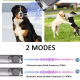 Dispositif Anti Aboiement Pour Chien Ultrasonique À Deux Modes Avec Lampe LED Et Batterie 800 mAh - www.yonis-shop.com