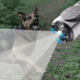 Dispositif Anti Aboiement Pour Chien Ultrasonique À Deux Modes Avec Lampe LED Et Batterie 800 mAh - www.yonis-shop.com