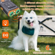Répulsif Anti Aboiement Ultrasonique Pour Chien Avec Deux Modes 20 À 30 kHz Lampe Torche LED Et Batterie 800 mAh - www.yonis-...
