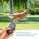 Collier De Dressage Pour Chien Avec Télécommande 800 M Étanche IP7 À Vibration Et Sonnerie Rechargeable - www.yonis-shop.com