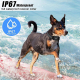 Collier De Dressage Pour Chien Antiaboiement Étanche IPX7 Vibration Et Décharge À Distance 800 Mètres - www.yonis-shop.com