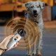 Répulsif Ultrasonique Pour Chiens Et Dresseur Portable Double Sonde Flash Ultrason Portée 10 Mètres Autonomie 30 Jours - www....