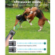 Répulsif Ultrasonique Pour Chiens Anti Aboiement Rechargeable Double Tête Double Fréquence Lampe LED 2 Heures - www.yonis-sho...