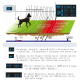 Collier GPS De Dressage Pour Chien Avec Clôture Électronique Sans Fil 2000 M Écran OLED Son Vibration Et Choc Électrique - ww...