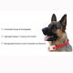 Collier Anti Aboiement Pour Chien Rechargeable À Spray Automatique Étanche IPX3 Sensibilité Réglable 5 À 53 Cm - www.yonis-sh...